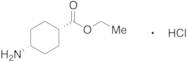 Ethyl cis-4-Aminocyclohexanecarboxylate Hydrochloride