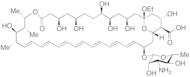 13-O-Ethylamphotericin B (>80%)