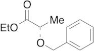 Ethyl (S)-2-(Benzyloxy)propionate