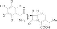 3-Ethyl Cefadroxil-d4