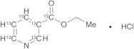 Ethyl Nicotinate-1,2’,3’,4’,5’,6’-13C6 Hydrochloride Salt