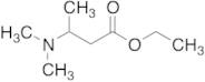 Ethyl 3-(Dimethylamino)butanoate