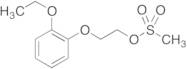 2-(2-Ethoxyphenoxy)ethyl Methanesulfonate