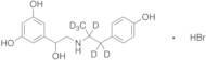 Fenoterol-d6 Hydrobromide