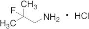 2-Fluoro-2-methylpropan-1-amine Hydrochloride