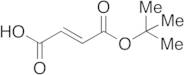 Fumaric Acid tert-Butyl Ester (>90%)