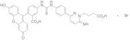 Fluoresceinyl Gabazine, Bromide