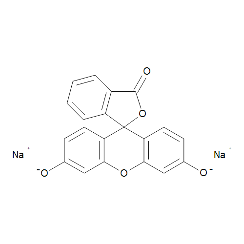 Fluorescein Sodium Salt