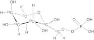 D-​Fructofuranose 1-​(Dihydrogen Phosphate)-13C6