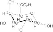 D-Galacturonic Acid-13C6