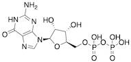 Guanosine 5'-Diphosphate