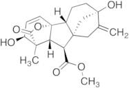 Gibberellic Acid Methyl Ester