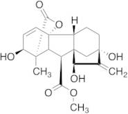 15b-OH Gibberellin A3 Methyl Ester