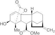 Gibberellin A7 Methyl Ester