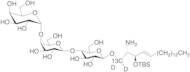 Globotriaosylceramid​e Sphingosine-d2,13C tert-Butyldimethylsilyl