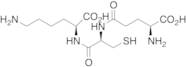 L-γ-Glutamyl-L-cysteinyl-L-lysine