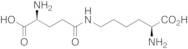 ε-(gamma-L-Glutamyl)lysine