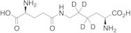 ε-(gamma-L-Glutamyl)lysine-d4