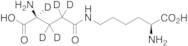 ε-(γ-L-Glutamyl)lysine-d5