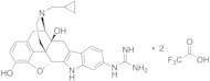 6'-Guanidinonaltrindole Ditrifluoroacetate