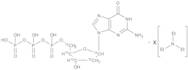 2’-Deoxyguanosine 13C5 5’-Triphosphate Triethylamine Salt
