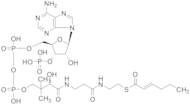 trans-hex-2-enoyl-CoA
