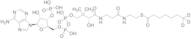 Heptanoyl-CoA -D3