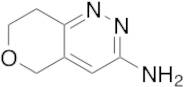 5H,7H,8H-Pyrano[4,3-c]pyridazin-3-amine