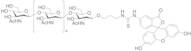 Hexa-N-acetylchitohexaose-aminopropyl-FITC