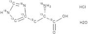 L-Histidine Hydrochloride Hydrate (13C6,15N3)