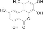 4-Hydroxy Alternariol