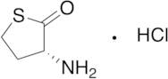 D-Homocysteine Thiolactone Hydrochloride