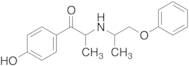 1-(4-Hydroxyphenyl)-2-[(1-phenoxypropan-2-yl)amino]propan-1-one