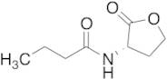 N-butyryl-L-Homoserine lactone