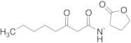 N-3-oxo-octanoyl-L-Homoserine lactone