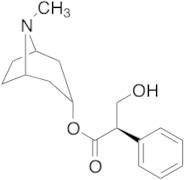 D-Hyoscyamine
