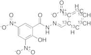(E)-2-Hydroxy-3,5-dinitro-N'-(2-nitrobenzylidene)benzohydrazide -13 C6
