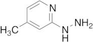 2-Hydrazino-4-methylpyridine