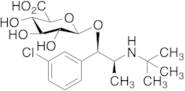 (R,S)-Hydrobupropion Glucuronide