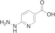 6-Hydrazinonicotinic acid