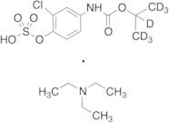 4-Hydroxychlorpropham Sulfate-d7 Triethylamine