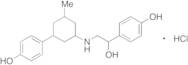 4-{1-Hydroxy-2-[3-(4-hydroxyphenyl)-5-methylcyclohexylamino]ethyl}phenol Hydrochloride(Mixture of …