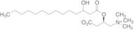 3-Hydromyristoyl Carnitine Inner Salt
