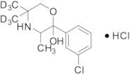 Hydroxy Bupropion-d6 Hydrochloride