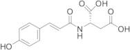 N-[(2E)-3-(4-Hydroxyphenyl)-1-oxo-2-propen-1-yl]-L-aspartic Acid