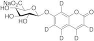 7-Hydroxy Coumarin-d5 Beta-D-Glucuronide Sodium Salt