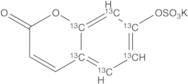 7-Hydroxy Coumarin-13C6 Sulfate Potassium Salt