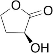 (3S)-3-Hydroxydihydrofuran-2(3H)-one