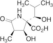 (3R,4S,5R)-4-Hydroxy-5-[(1S)-1-hydroxy-2-methylpropyl]-3-methyl-2-pyrrolidinone-5-carboxylic Acid