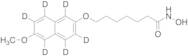 N-Hydroxy-7-(4-methoxyphenoxy)heptanamide-d4